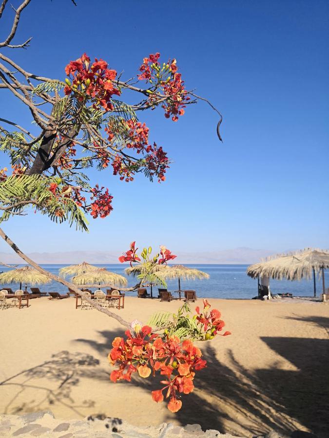 Nuweiba Lodge Екстер'єр фото